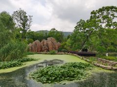 -白马涧龙池景区