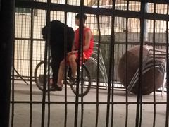 -广东茂名森林公园