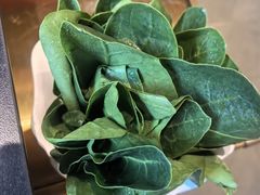 -南门四季铜锅涮肉(大屯·北苑店)