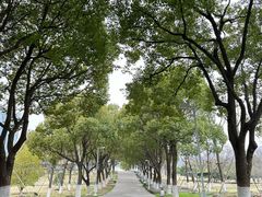 -白塘生态植物园