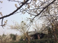 -樱桃山旅游景区