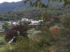 -塔川景区