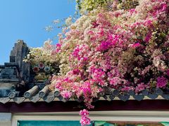 -深圳国际园林花卉博览园