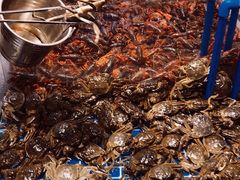 -半岛听涛蒸汽海鲜自助(K11店)