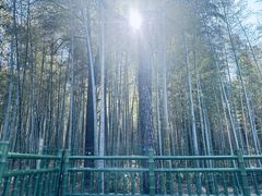-大蜀山国家森林公园