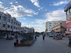 -尔力新疆丸子汤(北屯店)