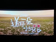 -星轶STARX影城(星沙吾悦广场STARX店)