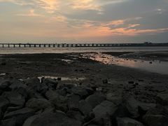 -宝安西湾红树林湿地公园