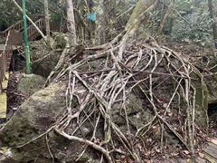 -七仙岭温泉国家森林公园