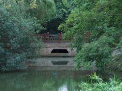 -上海滨江森林公园