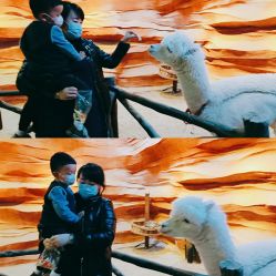 -酷嗒动物文化乐园(cutezoo西溪乐天城店)