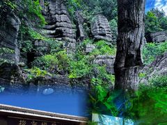 -梭布垭石林景区