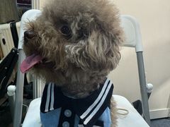 -南宁国际会展中心