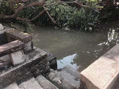 -小洲村
