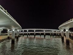 -演武大桥观景平台