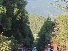 -江西阳明山国家森林公园