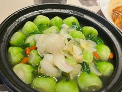 -圆苑(静安寺店)