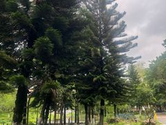 -映月湖公园