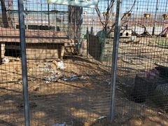 -河北村民俗体验园
