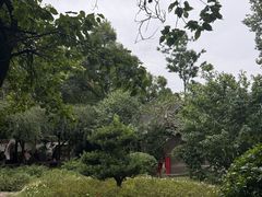 -房湖公园
