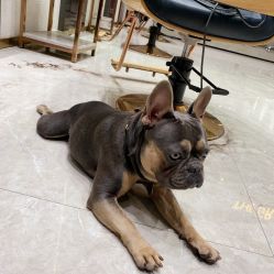 -OnHair Salon