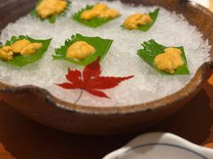 -月龍吟(朝龙汇店)