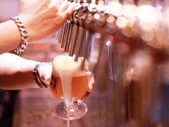 -麦落精酿啤酒餐吧(先农大院店)