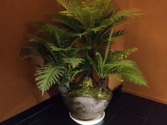 -泰·菩提树下[泰式按摩x精油SPAx肩颈头疗](新景店)