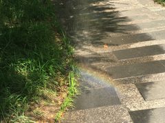 -青枫公园