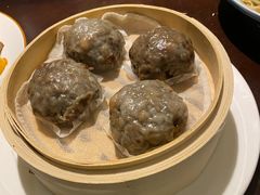 -梧桐树下(云锦世家店)