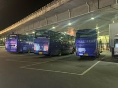 -合肥新桥国际机场-航站楼