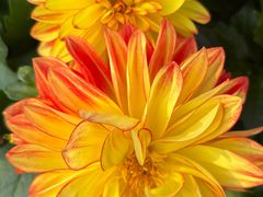 -上海植物园-4号门售票处