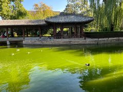 -团结湖公园