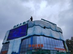 -哈尔滨极地公园