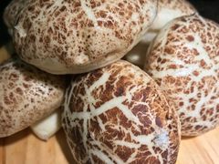 -奥赛奥自助烤肉(财富中心店)