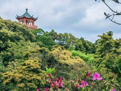 -梧桐山风景名胜区