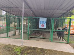 -成都安仁福朋喜来登酒店