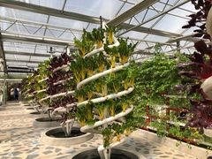 -兴芮温泉度假区