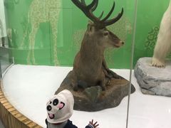 -国家自然博物馆