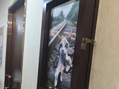 -宠爱国际动物医院·消化内科·心肾内科·ISFM猫友好(望京店)