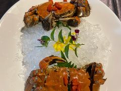 枸杞菊花熟醉蟹-蟹榭·本帮江浙菜·蟹宴(五角场合生汇商场店)