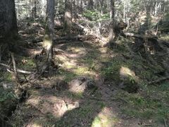 -长白山聚龙火山温泉