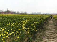 -西海岸生态观光园