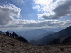 -朱雀国家森林公园