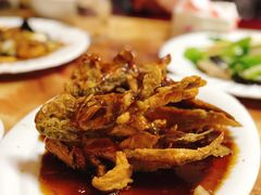 -林之六八·6886大连老菜馆