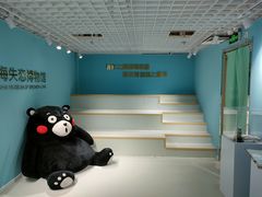 -上海失恋博物馆