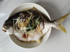 -爱月宝月嫂·育儿嫂(哈尔滨总店)