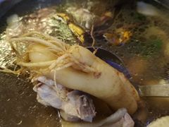 -千岛蚝高压锅生蚝·人参火锅(白云万达店)