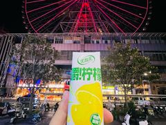 -星城之眼摩天轮