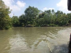 -溱湖国家湿地公园